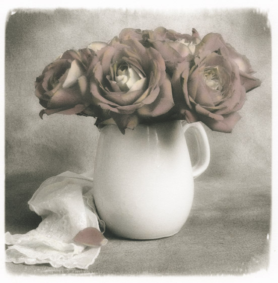 Online Workshop: Hand-Coloring Digital Photographs – Dianne Poinski