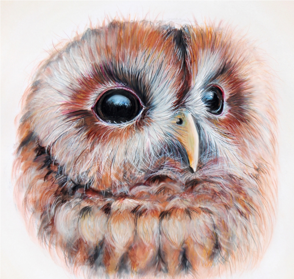 Joanne Barby Works