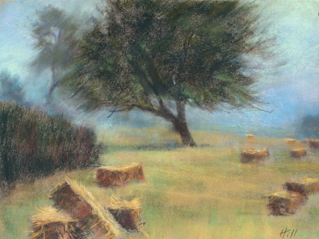 At the Edge of Light and Mist _sun