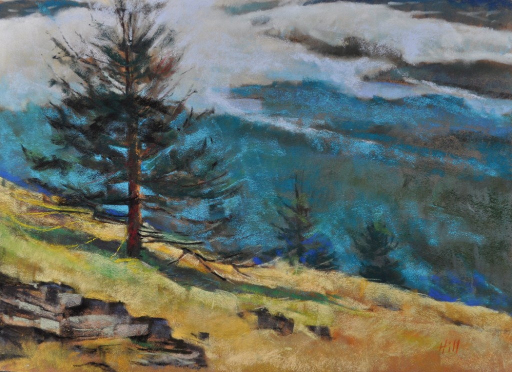 Beyond the Edge on Mt. Constituion