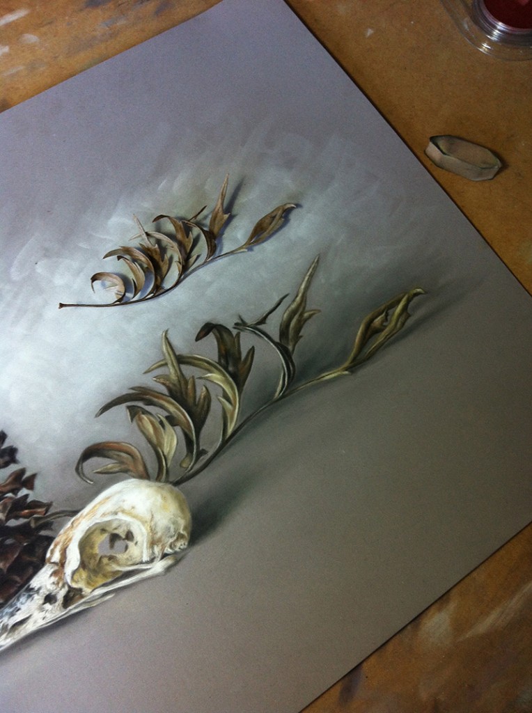 Pinecones_wip
