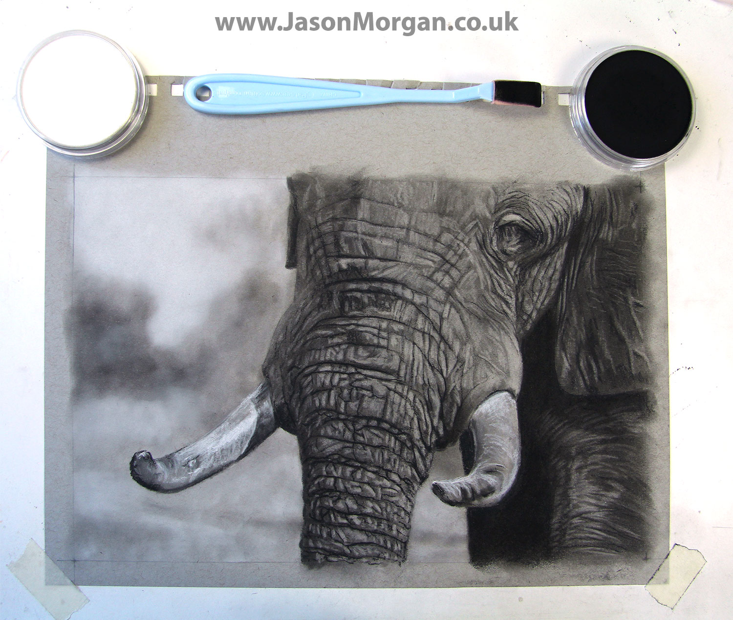 Video: Jason Morgan Wildlife Art