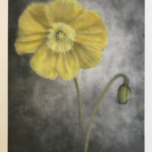 Hand-Coloring Digitial Photographs Lesson