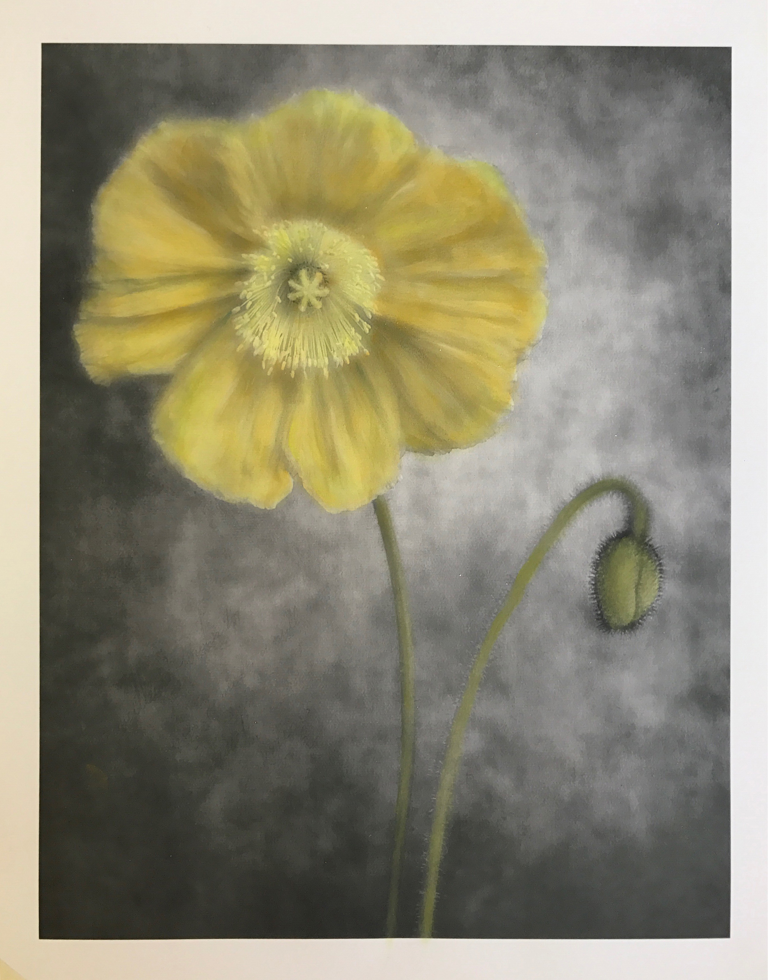 Hand-Coloring Digital Photographs