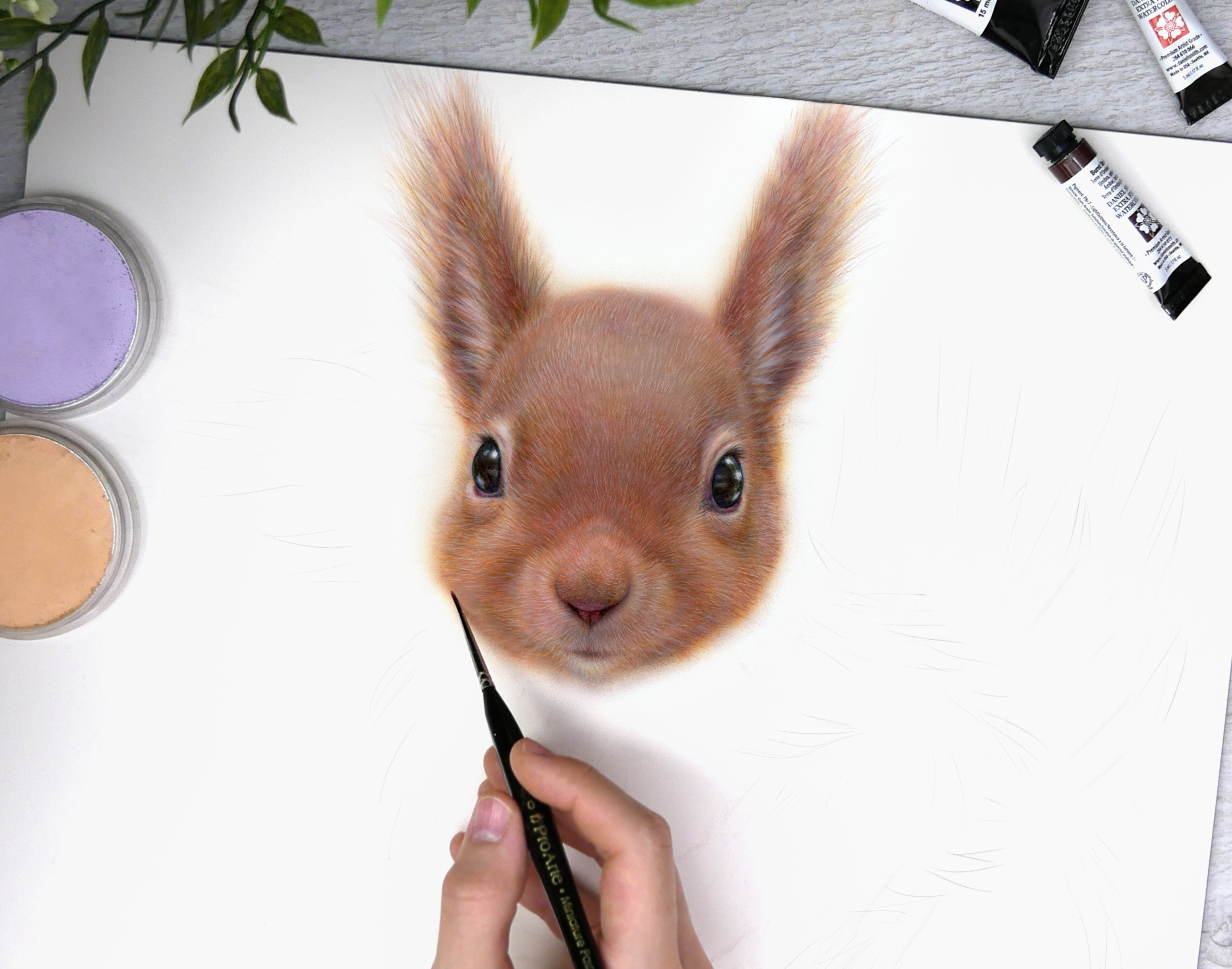 Becky Chan: Animal Paintings