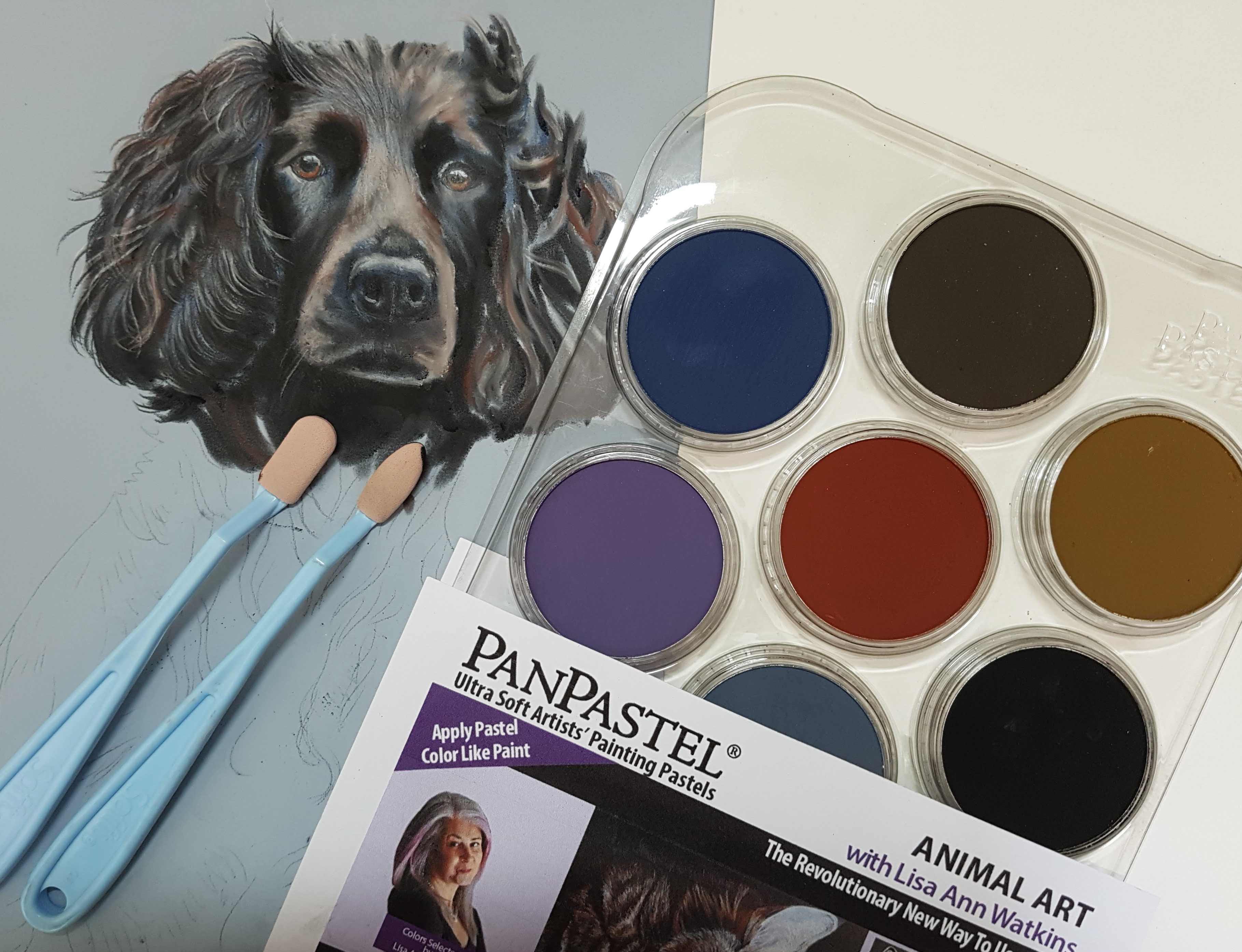 New Animal Art Kit