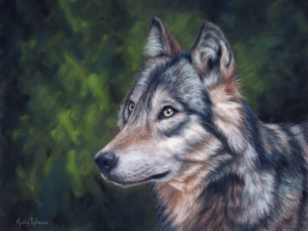 30254_General_Realism_Kirsty_Rebecca_Artwork_Wolf