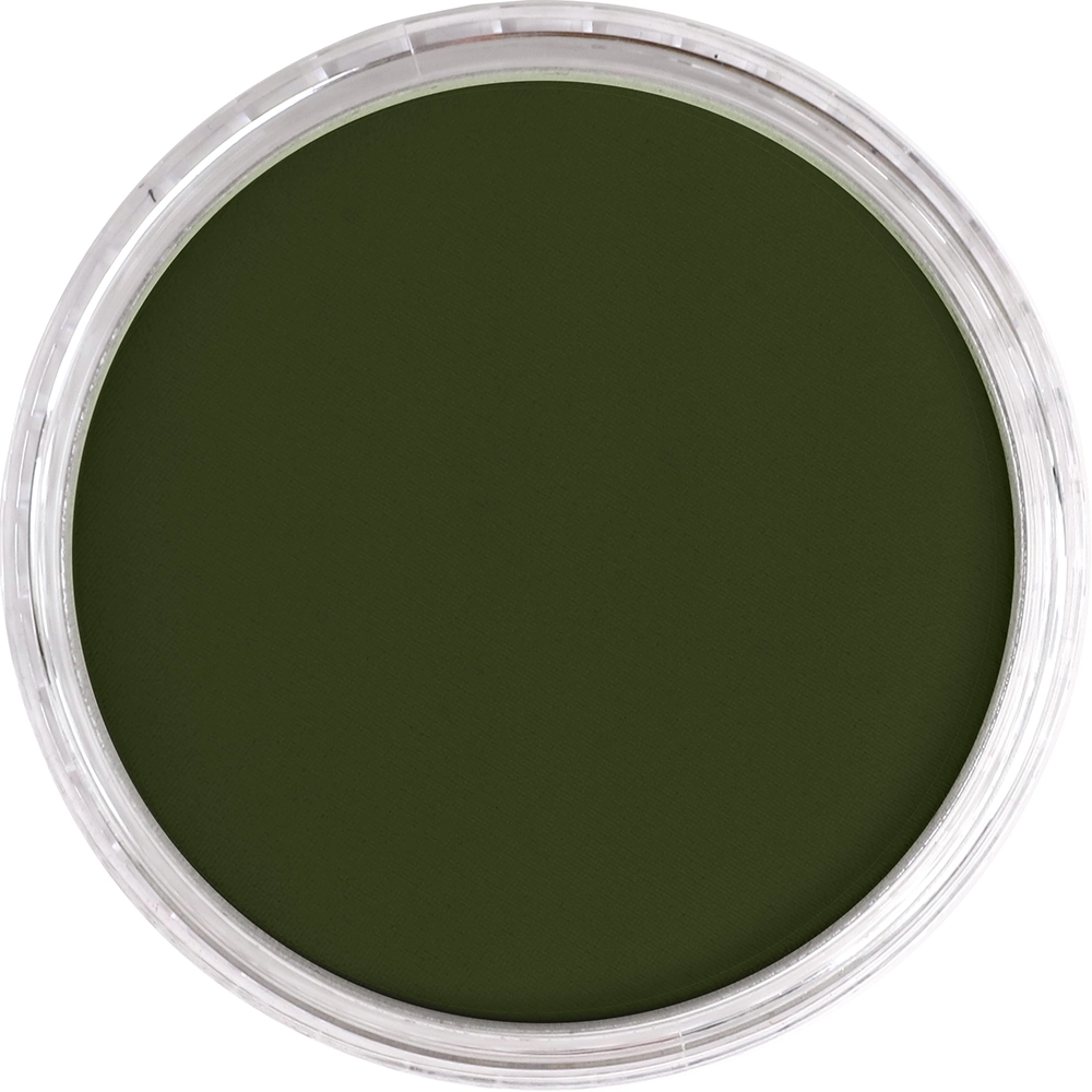 PanPastel Artist Pastels -  Chromium Oxide Green Shade - default