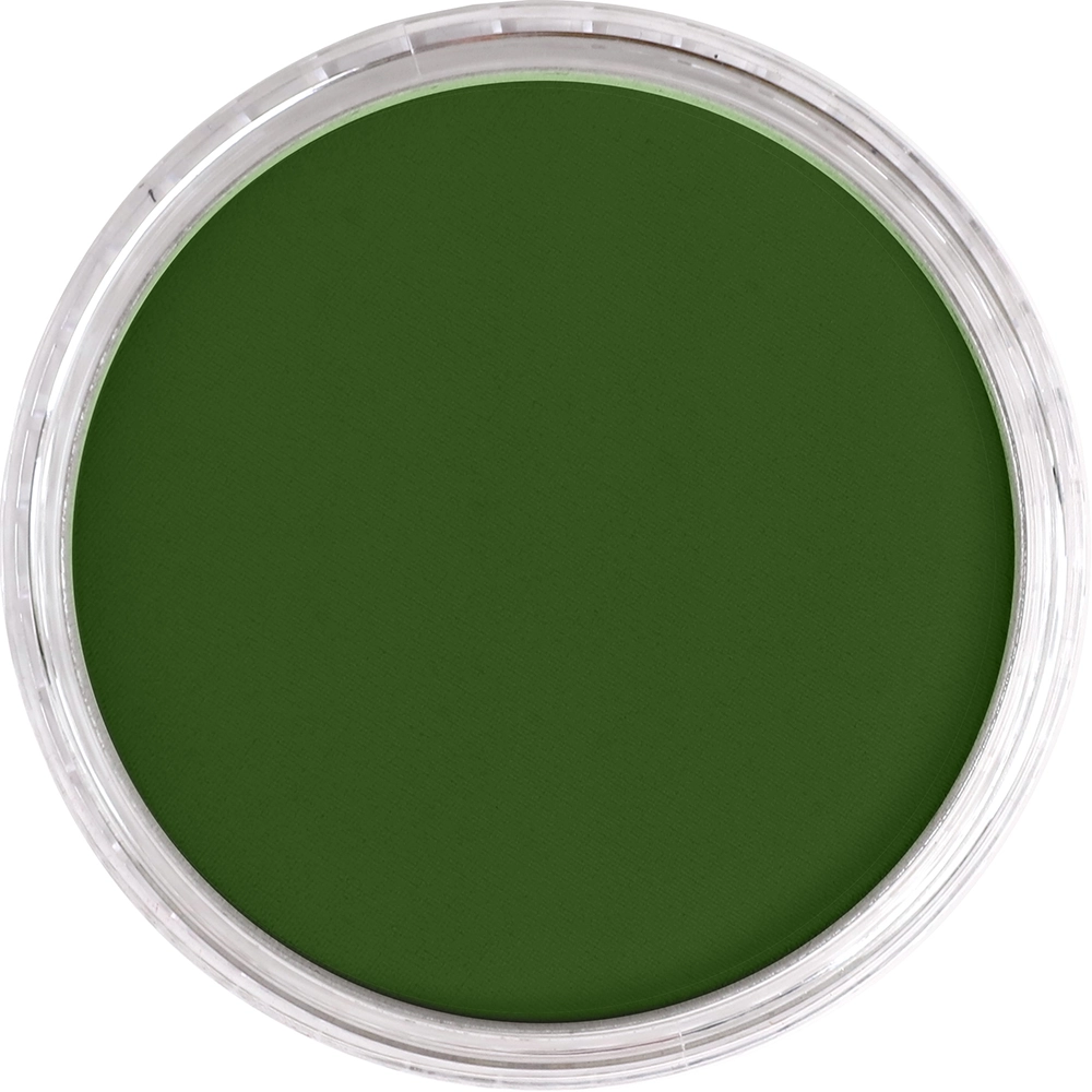 PanPastel Artist Pastels -  Chromium Oxide Green - default