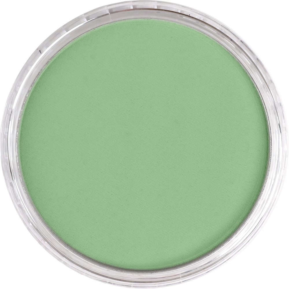 PanPastel Artist Pastels - Chromium Oxide Green Light - default