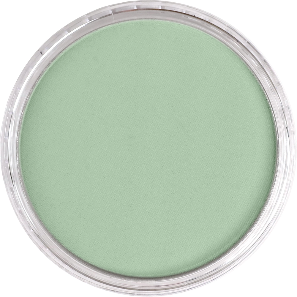 PanPastel Artist Pastels -  Chromium Oxide Green Tint - default