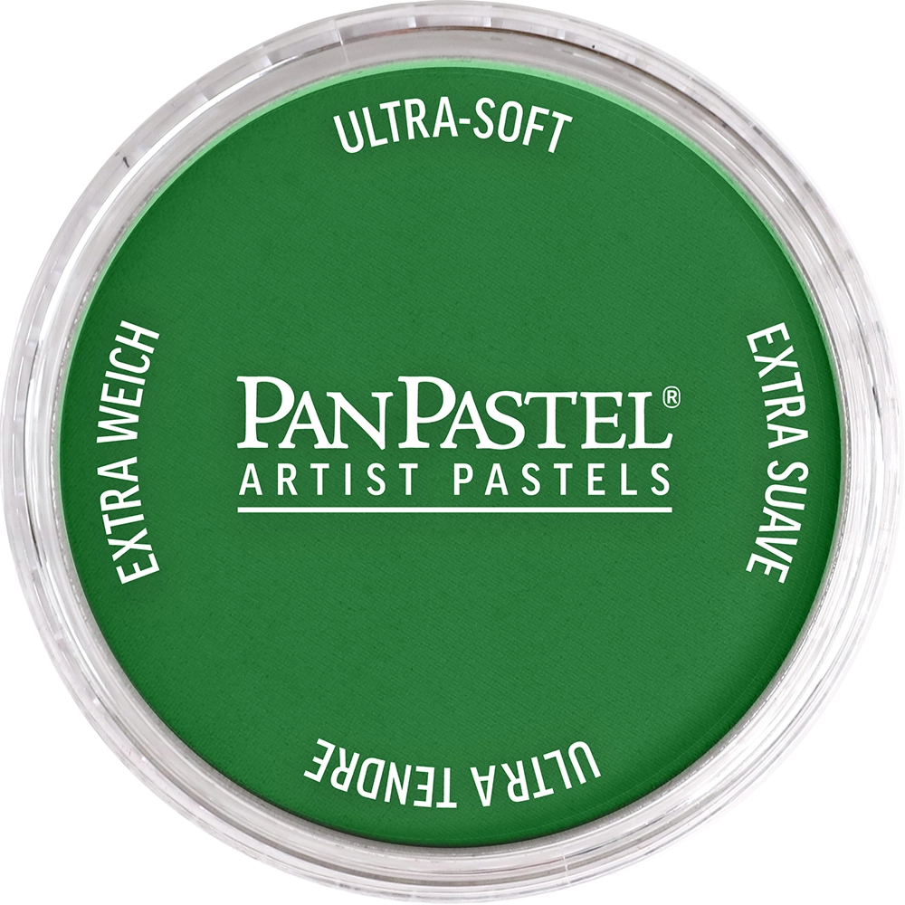 PanPastel Artist Pastels -  Permanent Green Shade - default