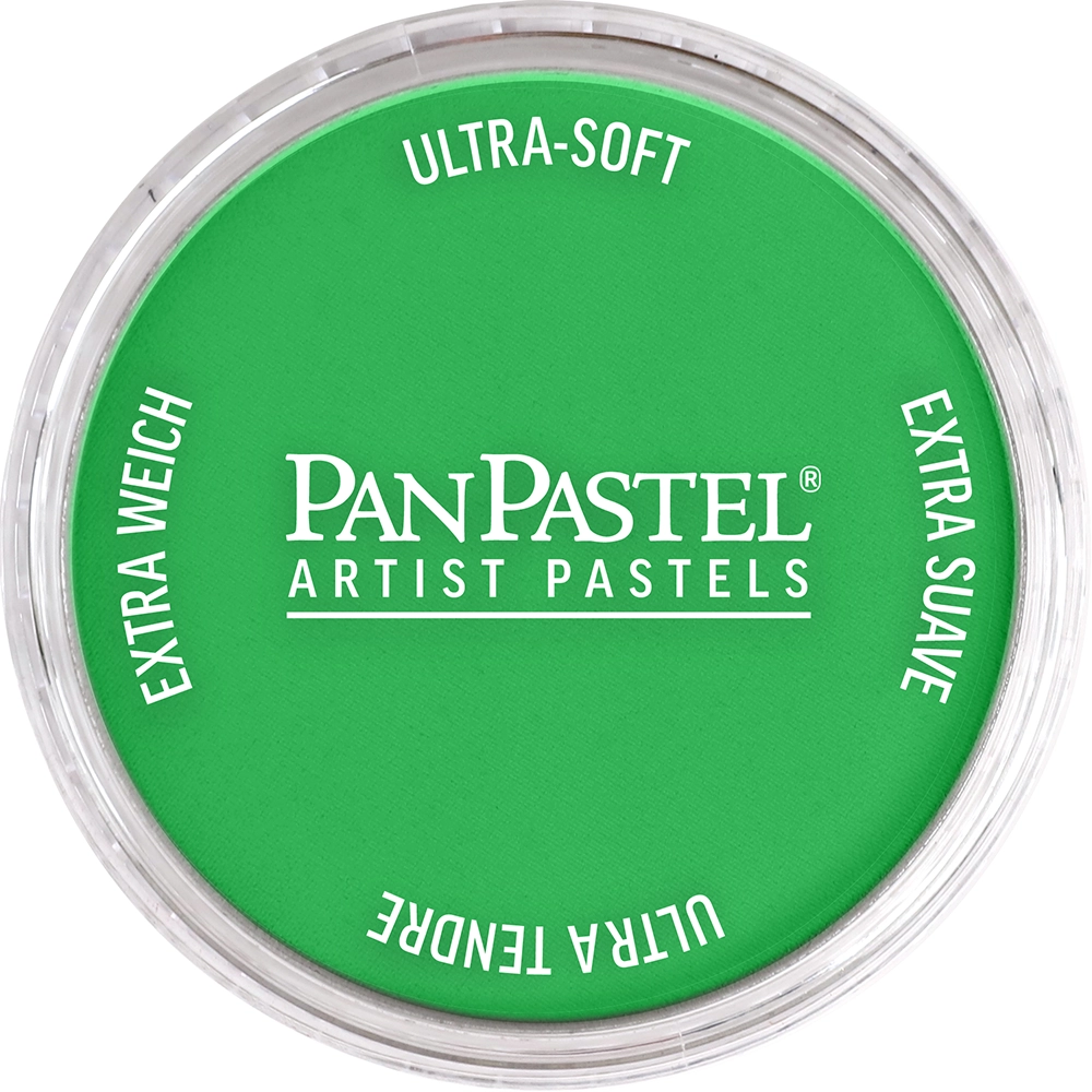 PanPastel Artist Pastels -  Permanent Green - default