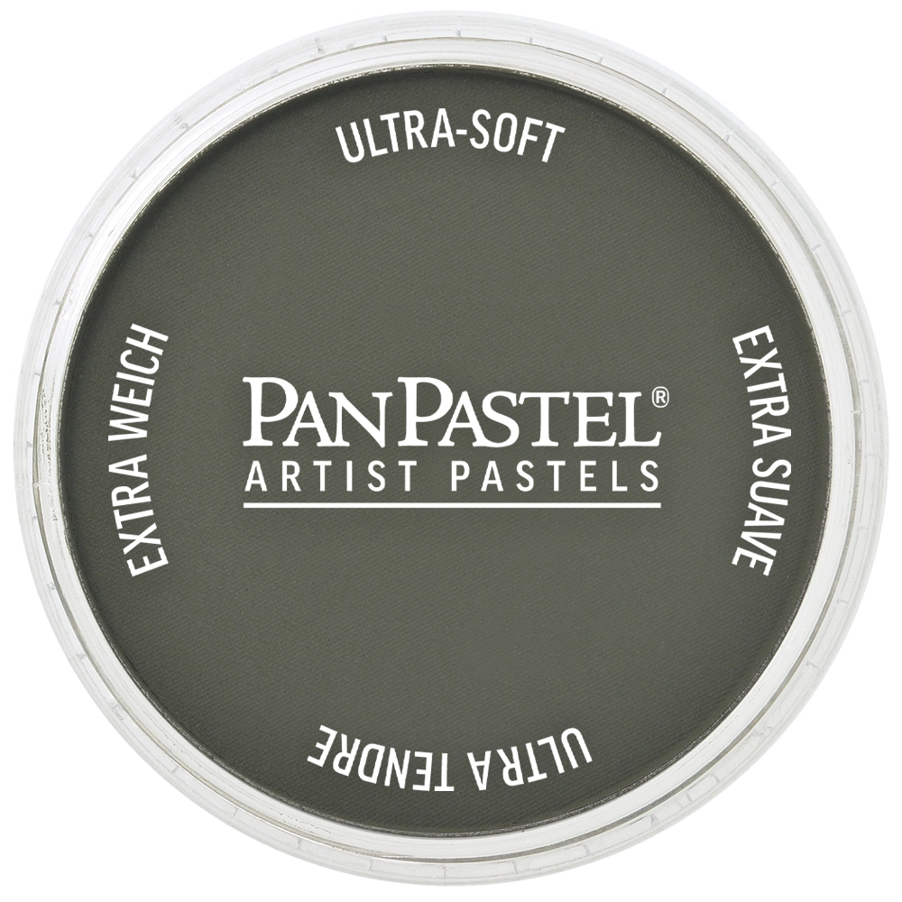 PanPastel Artist Pastels - Chromium Oxide Green Extra Dark (Discontinued) - default