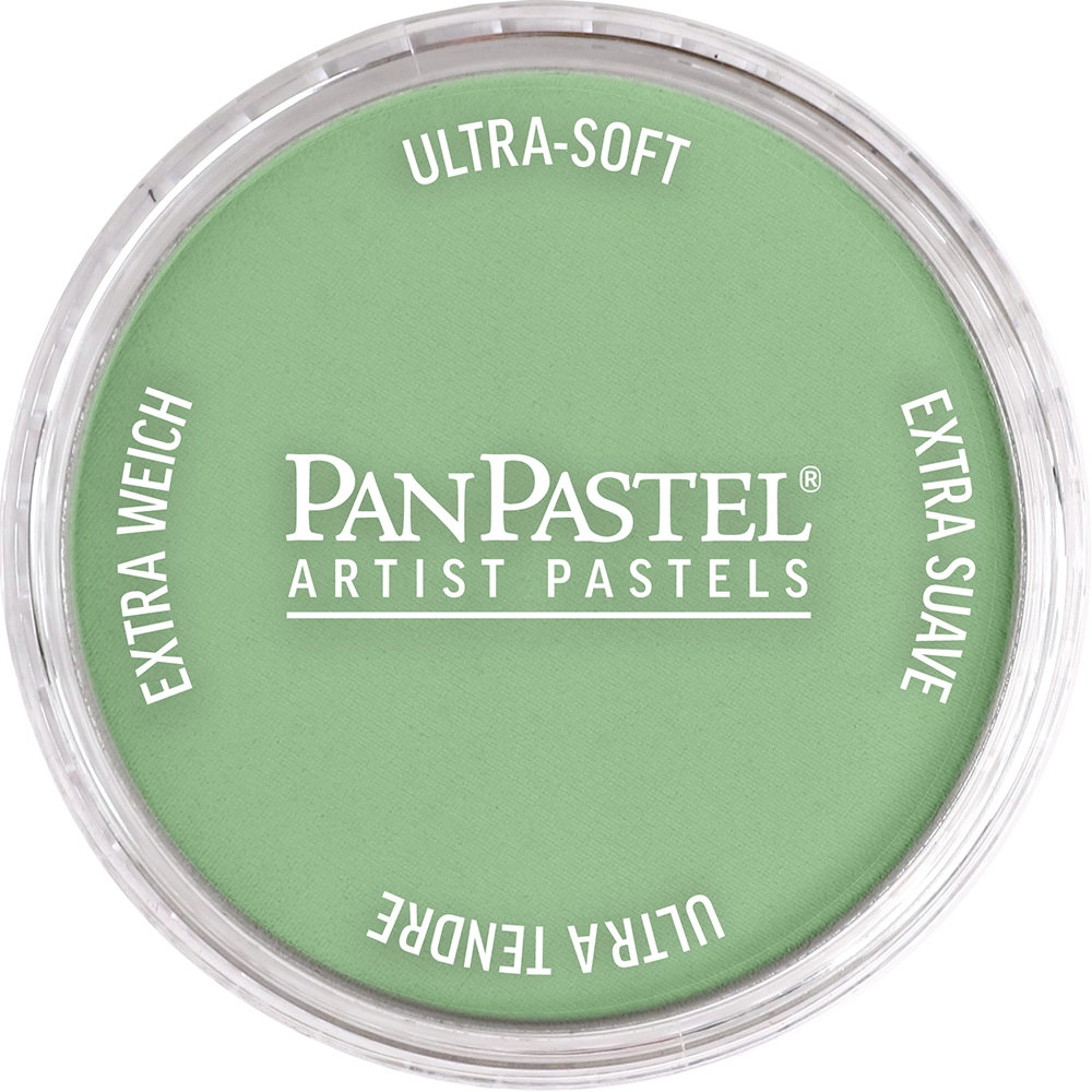 PanPastel Artist Pastels - Chromium Oxide Green Light - default