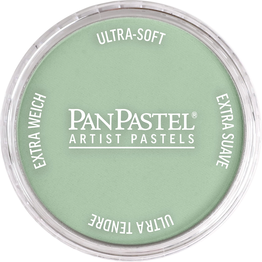 PanPastel Artist Pastels -  Chromium Oxide Green Tint - default