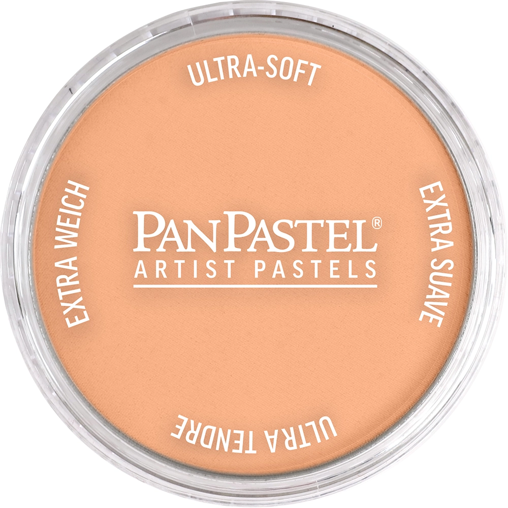 PanPastel Artist Pastels - Burnt Sienna Light - default