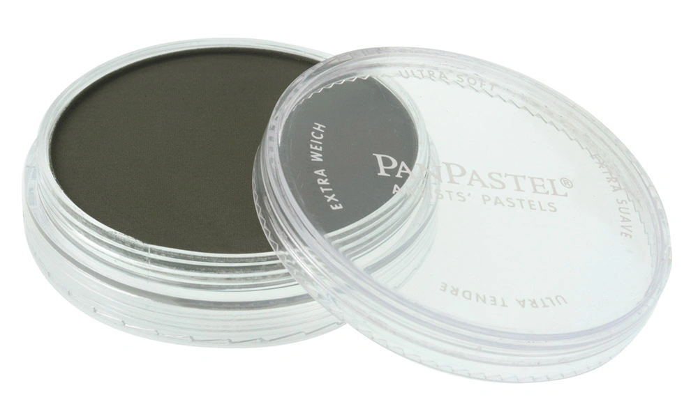 PanPastel Artist Pastels - Chromium Oxide Green Extra Dark (Discontinued) - default