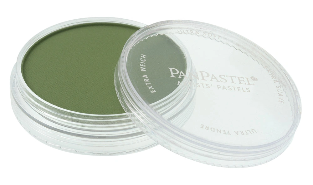 PanPastel Artist Pastels -  Chromium Oxide Green Shade - default