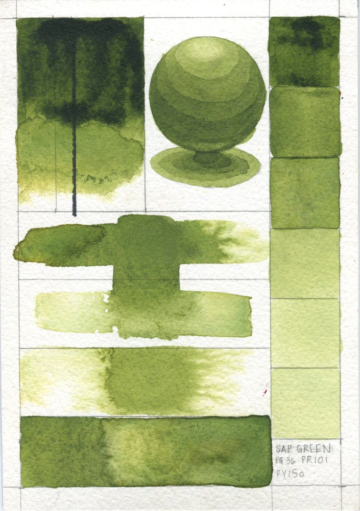 Qor Watercolor - Sap Green - paint-out