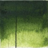 Qor Watercolor - Sap Green swatch