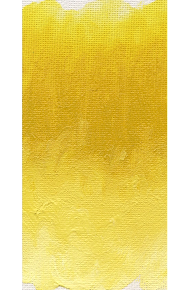Williamsburg Artist Oil Colors - Cobalt Yellow - handpainted-cards