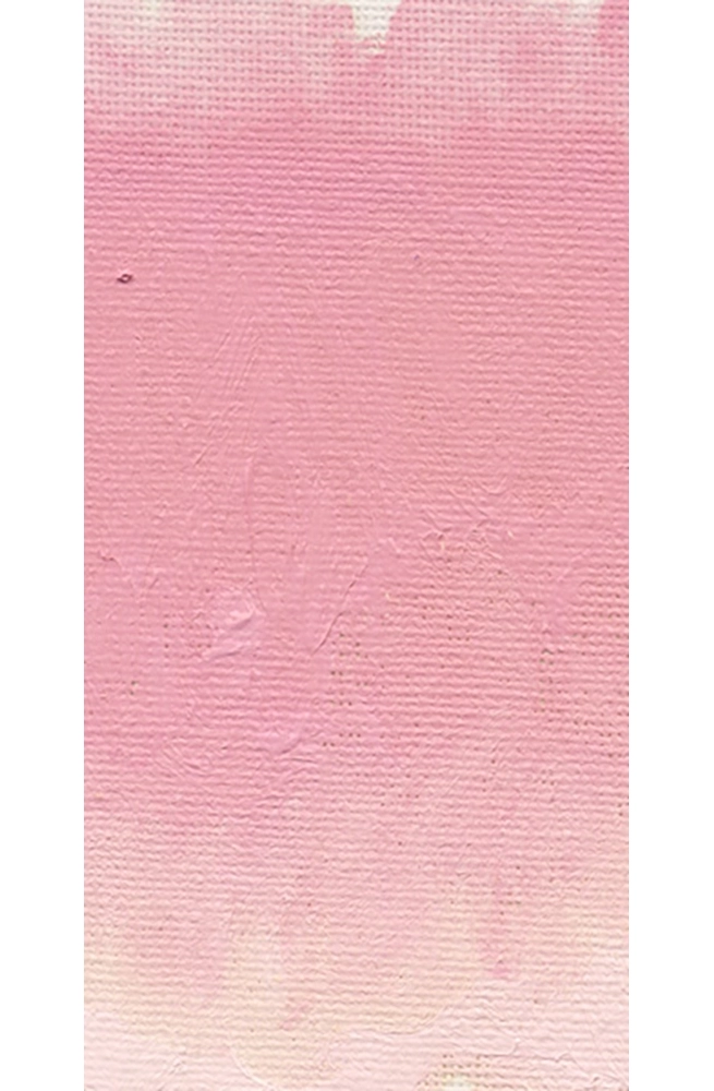 Williamsburg Artist Oil Colors - Dianthus Pink - handpainted-cards