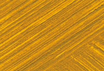 Williamsburg Artist Oil Colors - Italian Yellow Ochre - swatch-lg