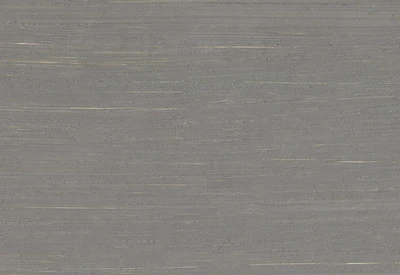 Williamsburg Artist Oil Colors - N6 Neutral Gray - swatch-lg