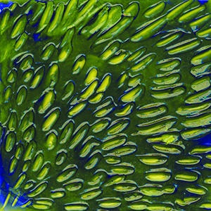 Heavy Gel Sgraffito