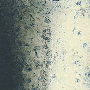 OPEN Imprint