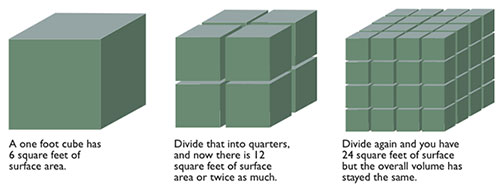 Surface Area