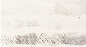 Figure 1a: GAC 200 is a good example of a hard, smooth surface.