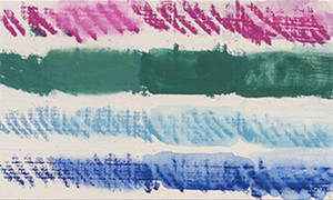 Figure 6: Absorbent Ground received all media and allowed for easy manipulation.