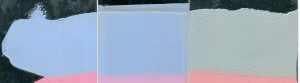 Image 8. Cobalt Blue test panels