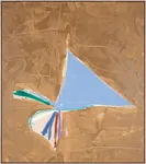 1979,  Acrylic on Canvas,  68 1/4″ x 77 1/2″