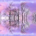 print on gator board,  16″ x 16″, $110