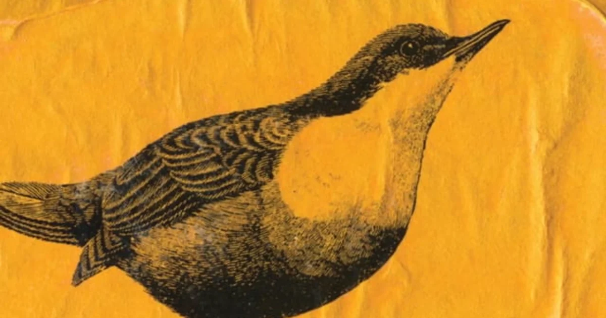 Iridescent Image Transfer: Golden A-Z Set